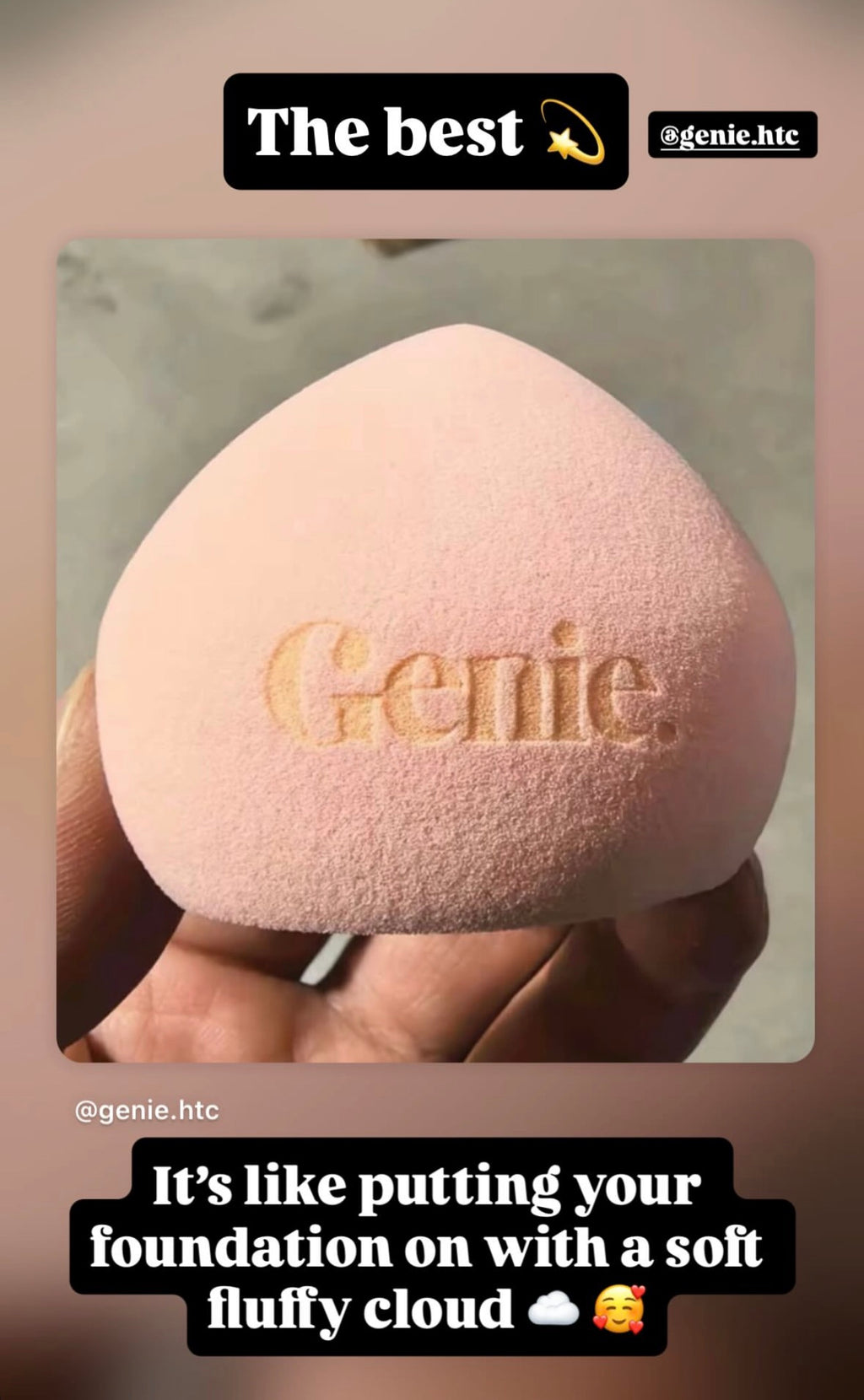 Exclusive beauty blender (latex free)