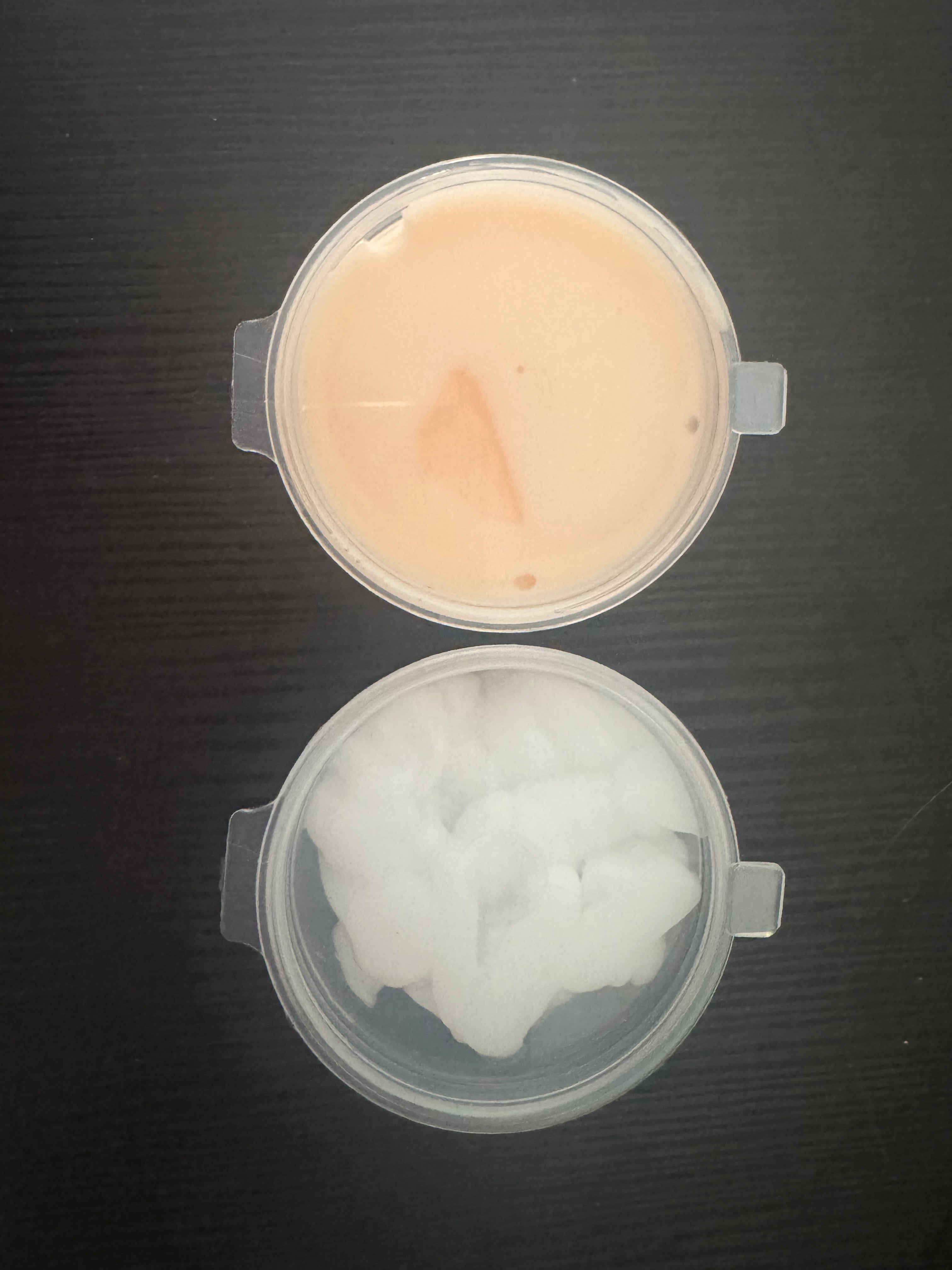 Shampoo & conditioner samples
